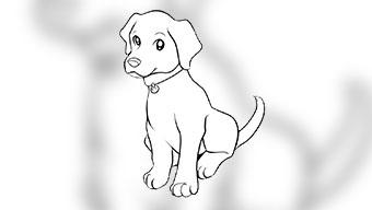 Картинки для срисовки карандашом Собак