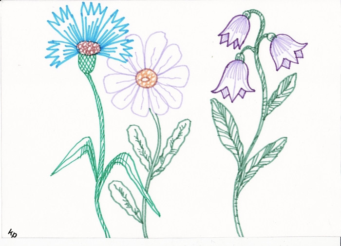 Рисунок цветка для срисовки