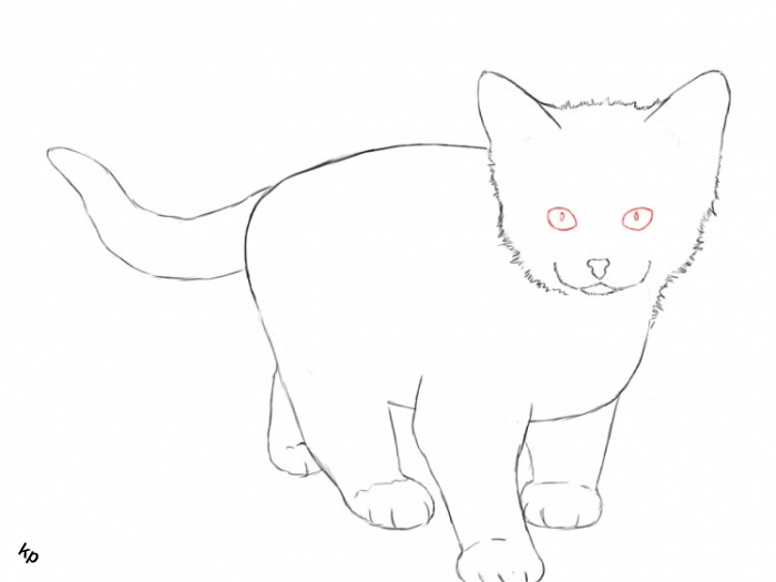 Красивая картинка кота для срисовки карандашом