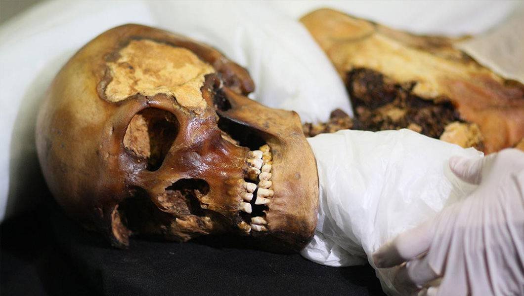Принцесса Укока: диагноз спустя 2500 лет