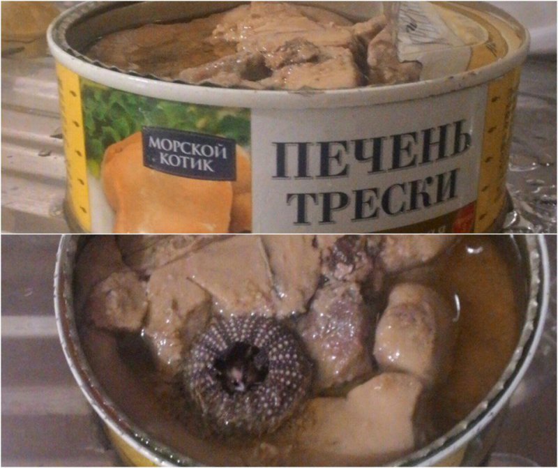 неожиданная находка в печени трески